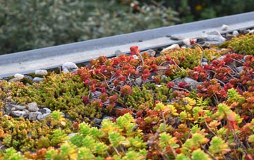 the cost of Bulphan green roof installation