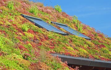 Bulphan living roof systems