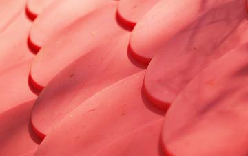 Bulphan plastic roof costs